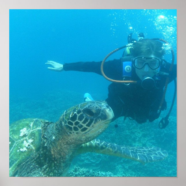 Skubas undervattensliv Poster (Framsidan)