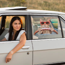 Skugga 16 tum x 12 tum för kattbil