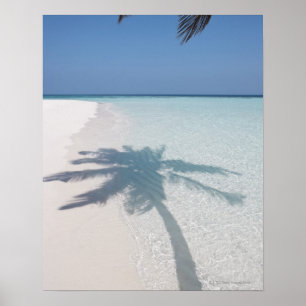 Skugga av en palmträd på en öde östrand poster