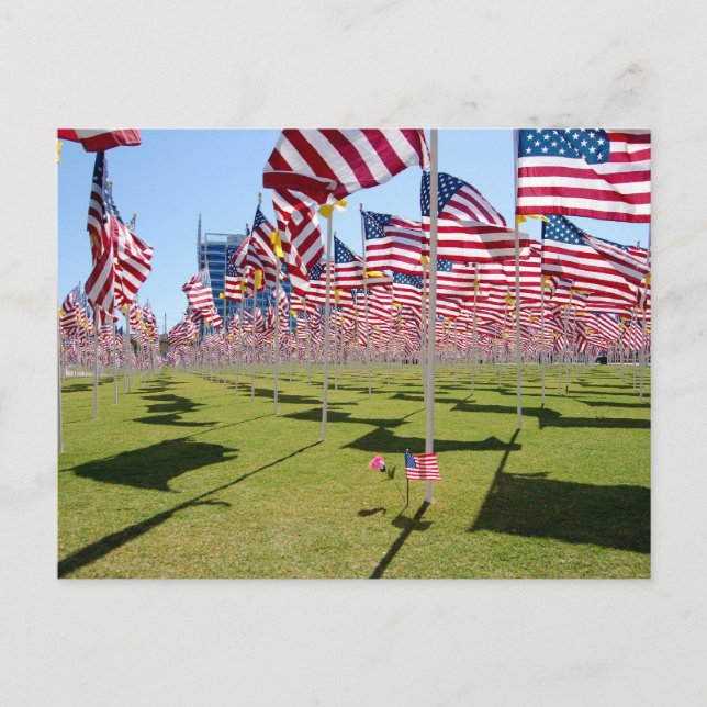 Skugga av Kor Vykort (Framsida)