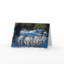 "Skugga Fläkt"-hälsningskort