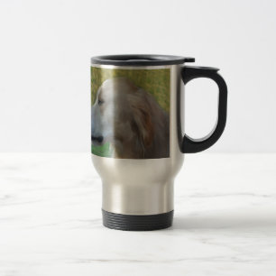 Skugga, Golden Retriever Resemugg