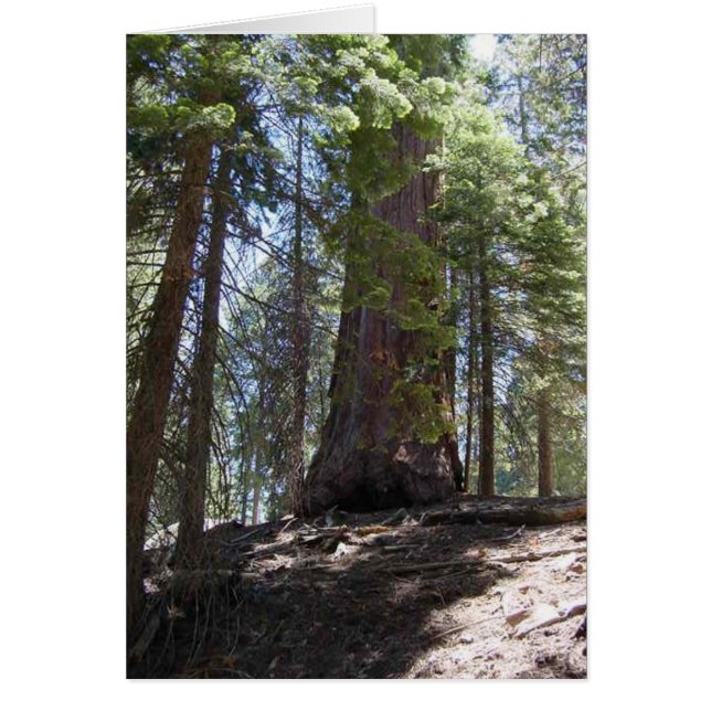 skugga hälsningskort (Framsidan)