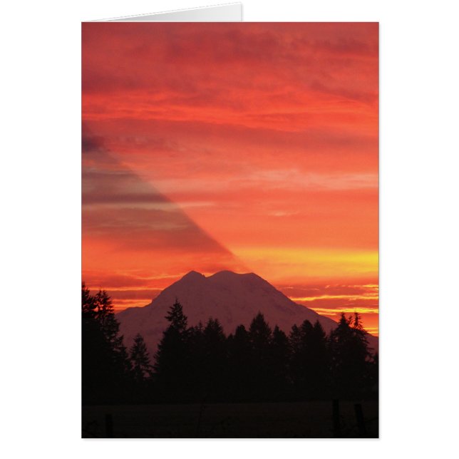 Skugga Hälsningskort (Framsidan)