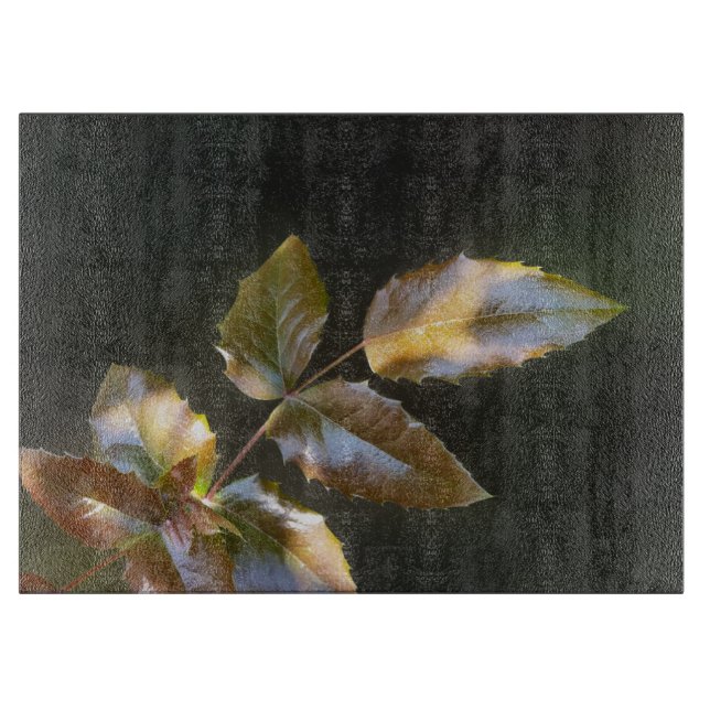 skugga löv (Framsidan)