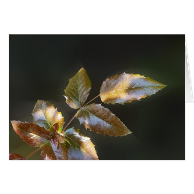 skugga löv hälsningskort (Framsidan Horizontal)