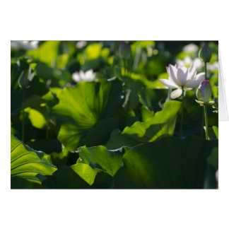 Skugga mönster hälsningskort