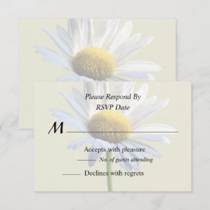 Skugga och ljus för daisy OSA kort