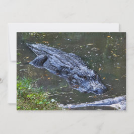 Skugga på grunt vatten anteckningskort