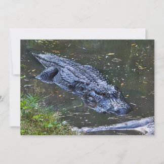 Skugga på grunt vatten anteckningskort