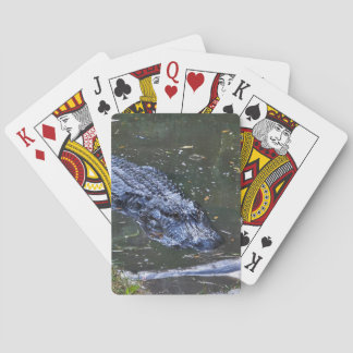 Skugga på grunt vatten casinokort