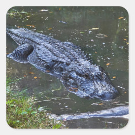 Skugga på grunt vatten fyrkantigt klistermärke