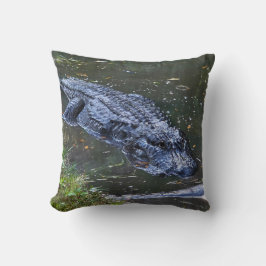 Skugga på grunt vatten kudde