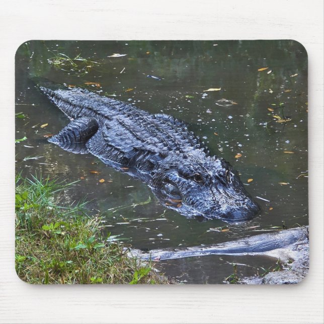 Skugga på grunt vatten musmatta (Framsidan)