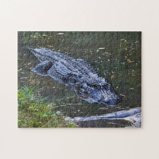 Skugga på grunt vatten pussel (Horisontell)