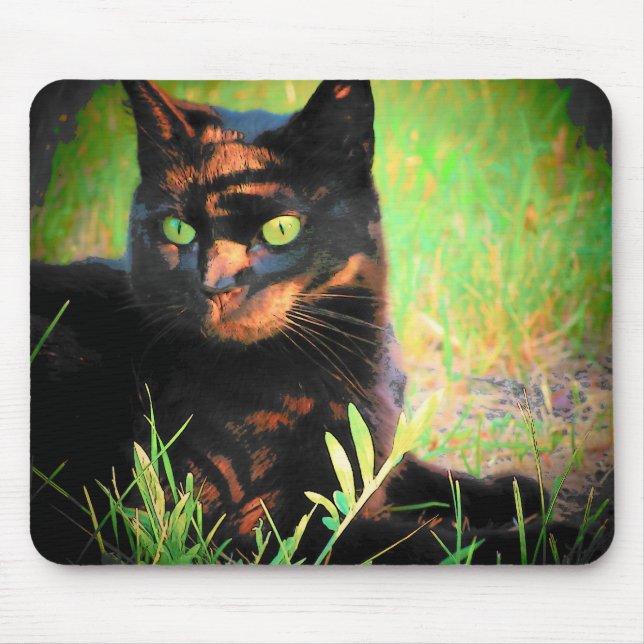 Skugga Panther Musmatta (Framsidan)