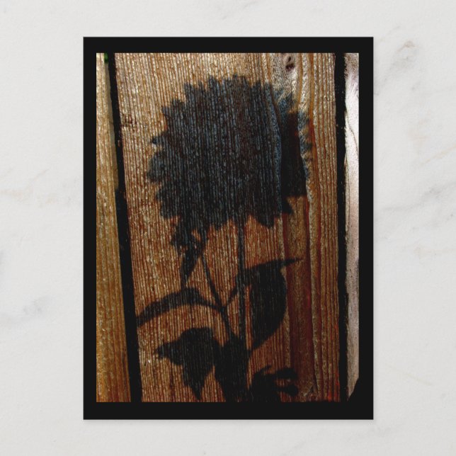 skugga vykort (Framsida)