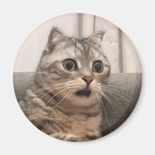 Skuggad moms för magnet