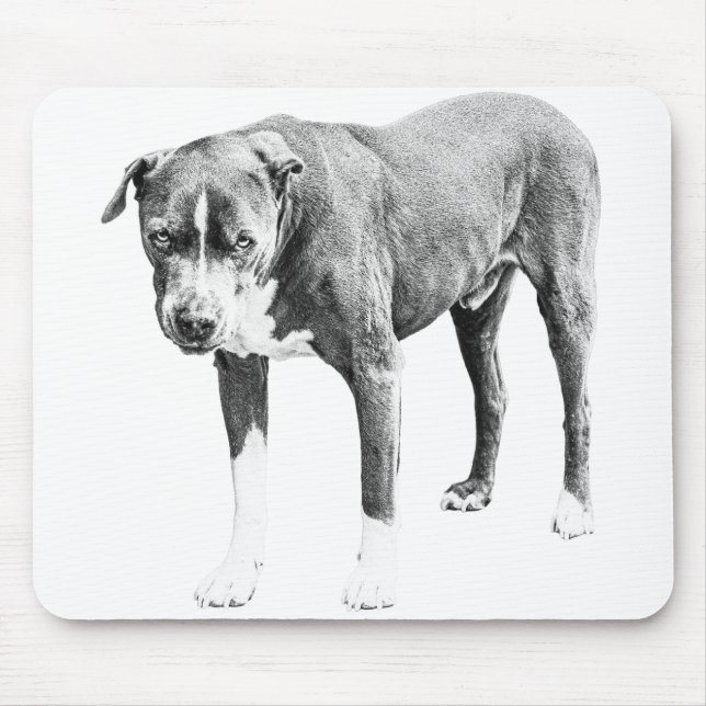 Skuggad Pit Bull Desk Pad Musmatta (Framsidan)