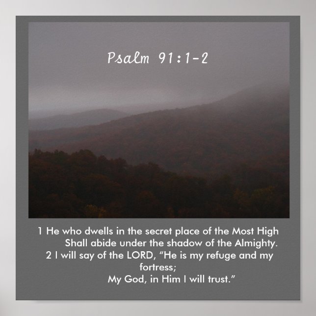 Skuggan Poster (Framsidan)