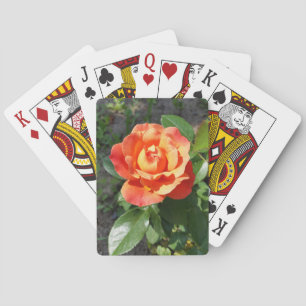 skuggande gul ros casinokort