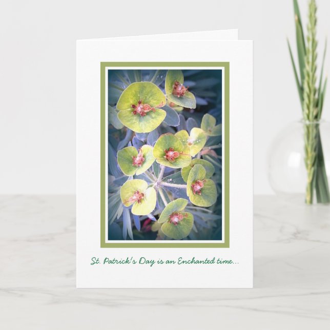 Skuggar av grönt kort (Framsida)