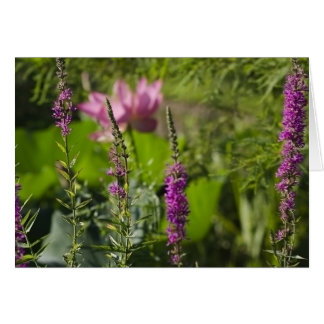 Skuggar av rosor och lilor hälsningskort