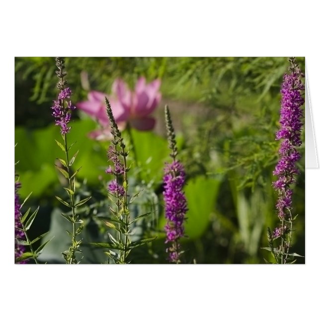 Skuggar av rosor och lilor hälsningskort (Framsidan Horizontal)