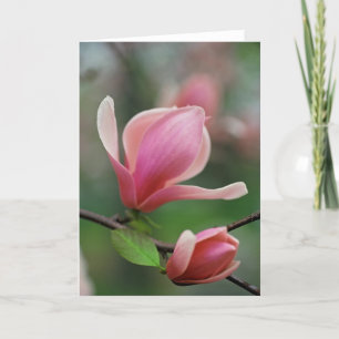 Skuggar av vårhälsningkort kort