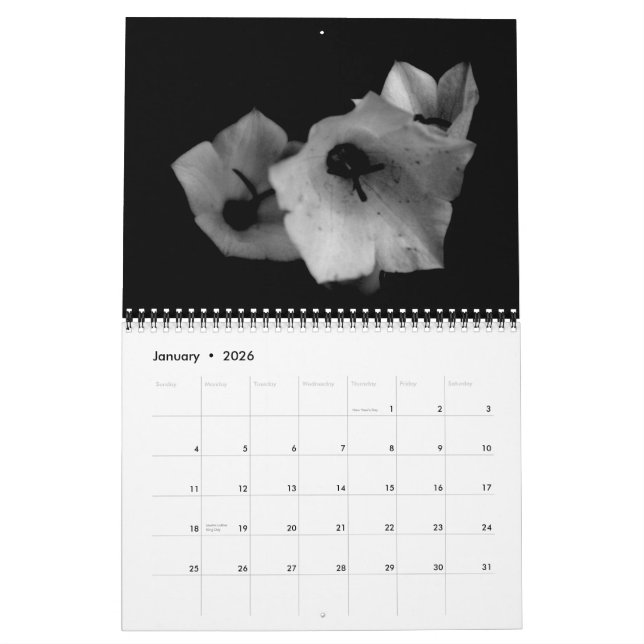 Skuggar Kalender (Jan 2026)