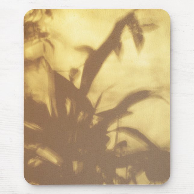 Skuggar Musmatta (Framsidan)