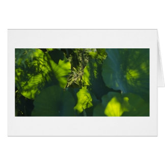 Skuggar och tänder hälsningskort