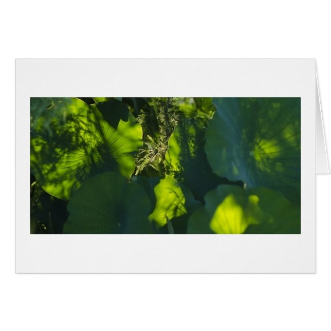 Skuggar och tänder hälsningskort (Framsidan Horizontal)