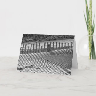 Skuggar på dynen kort