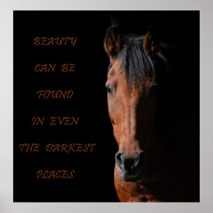 Skugghorsens inspiration poster