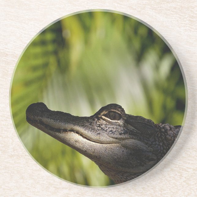 Skuggig alligatorkustfartyg underlägg (Framsidan)