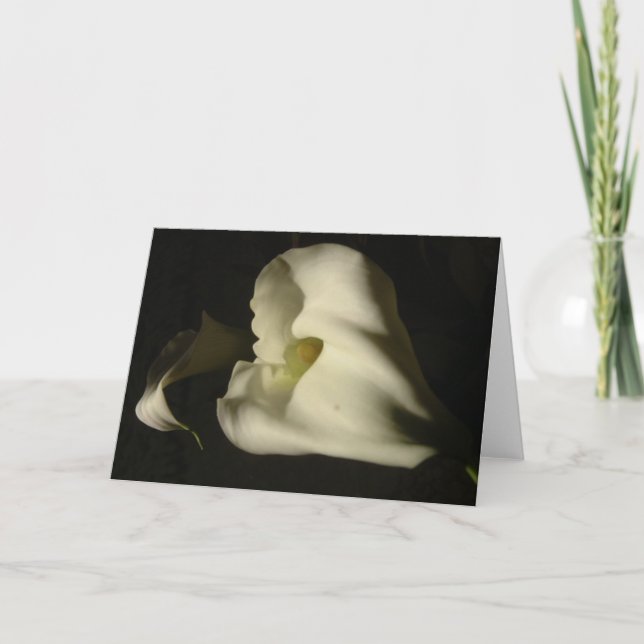 Skuggiga Callas Kort (Framsida)