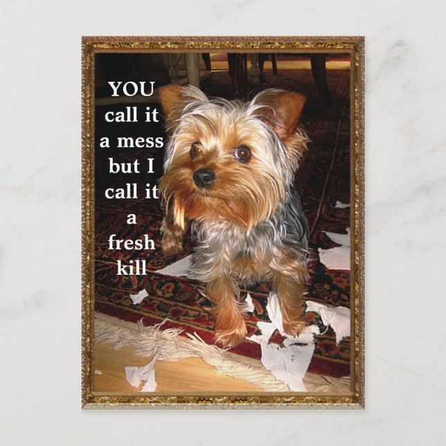 Skuggkort för Anpassade Vykort (Framsida)