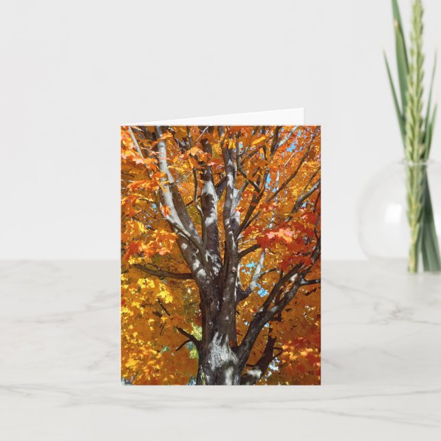 Skuggkort för hösten Träd Tack Kort (Framsida)