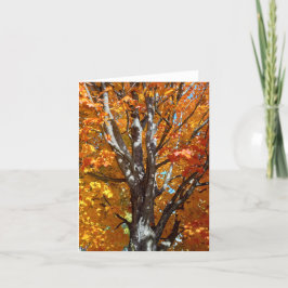 Skuggkort för hösten Träd Tack Kort