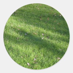 Skuggor i Grass Runt Klistermärke