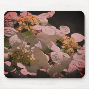 Skuggor och lätt lakekap Hydrangea Flower Musmatta