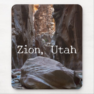 Skuggor och ljus i smalarna. Zion, Utah Musmatta