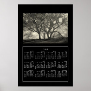 Skuggor & Reflektioner 2013 Kalenderutskrift Poster