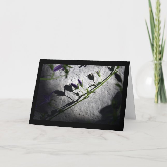 Skuggor - Sympatiskort Tack Kort (Framsida)