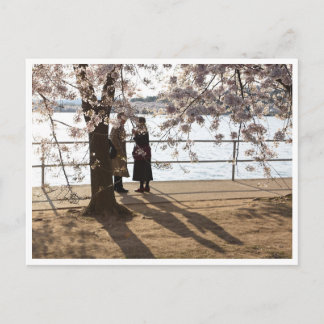 "Skuggor under körsbär träd" vykort