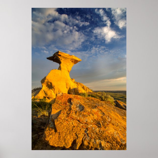Skuldad badlandbildning i Kort-gräs Poster (Framsidan)