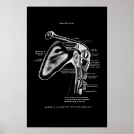 Skulder i led Anatomi Medicinsk väggdebut Poster