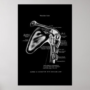 Skulder i led Anatomi Medicinsk väggdebut Poster