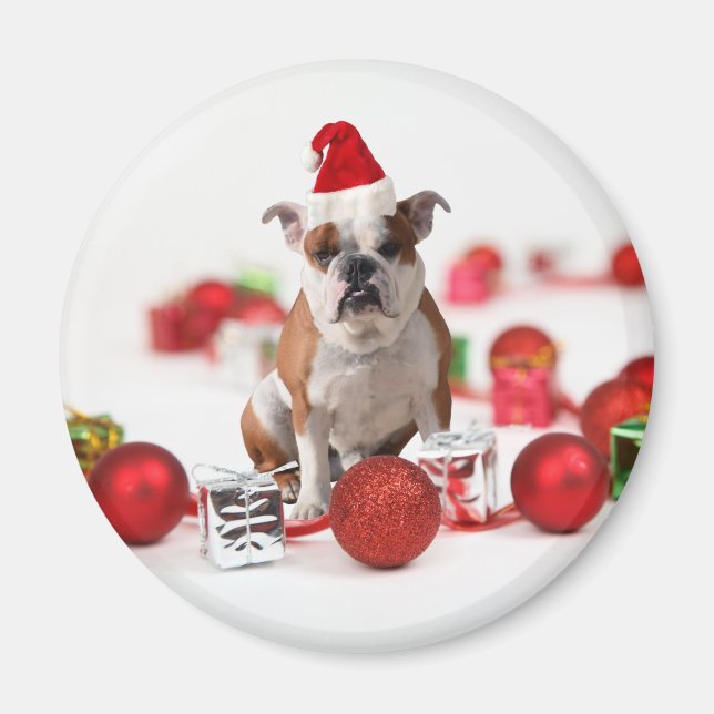 Skuldhund julklapp Ornament Red Santa Hat Magnet (Framsidan)